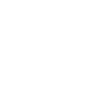 Ivy Partners